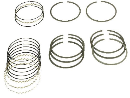 Standard Ring Kits NPR 1025AMZ8395