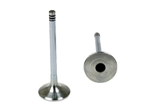 Exhaust Valves Osvat 1025AMZ3960