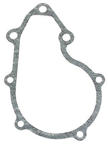 Water Pump Reinz 1025AMZ4395