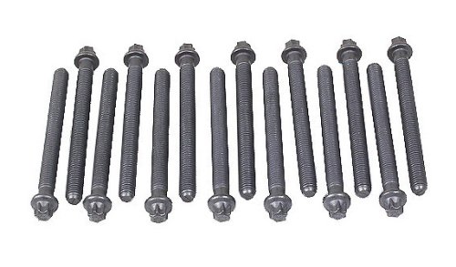 Knurled Head Bolts Reinz 1025AMZ2860