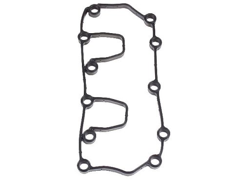 Reinz Valve Cover Gasket Seals Reinz 1028AMZ5111