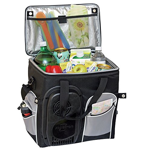 Coolers Koolatron D25