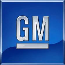 Mirrors General Motors 25808706