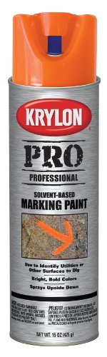 Spray Paint Krylon 7306