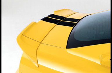 Body Roush 401806