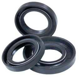 Gaskets Winderosa 501556