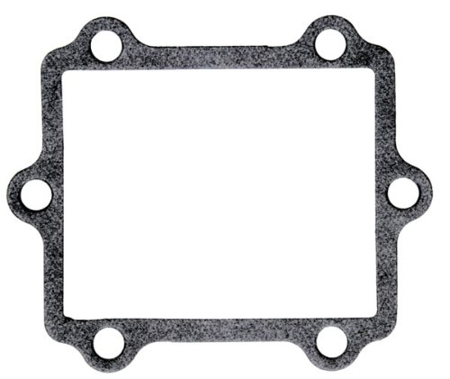 Moto Tassinari Replacement Gasket for Delta Reed Valve - Inner G05A Gaskets Moto Tassinari G05A