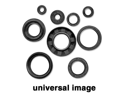 Gaskets Winderosa 623801