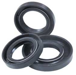 Gaskets Winderosa 501487