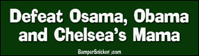Decals BumperSnickerz POL10060_M.pdf