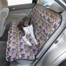 Accessories Guardian 