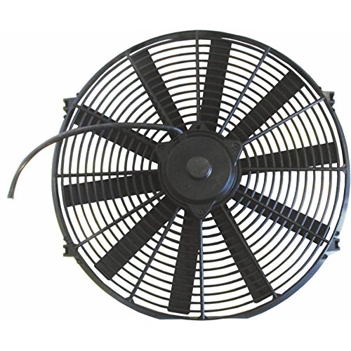 Fans Zirgo 126251