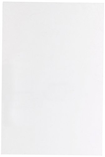 FIA SB-RL2 Universal Sandblast Hood Replacement Lens Body FIA SBRL2