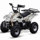 Tie-Downs  ATV_A110B1