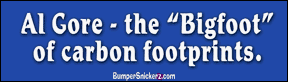 Decals BumperSnickerz POL10061_L.pdf