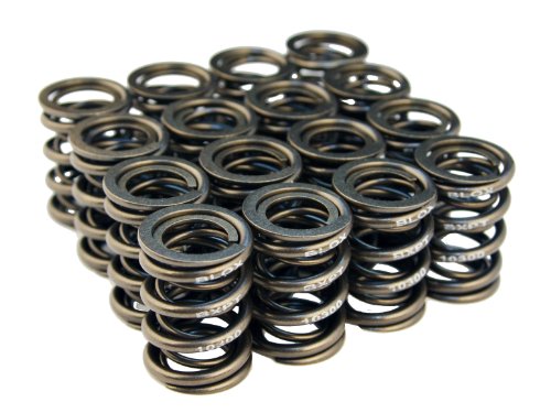 Blox Racing BXPT-10300 Valve Spring for Honda B-Series DOHC VTEC Engine Springs Blox Racing BXPT-10300