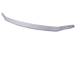 Weather Stripping EGR 391404