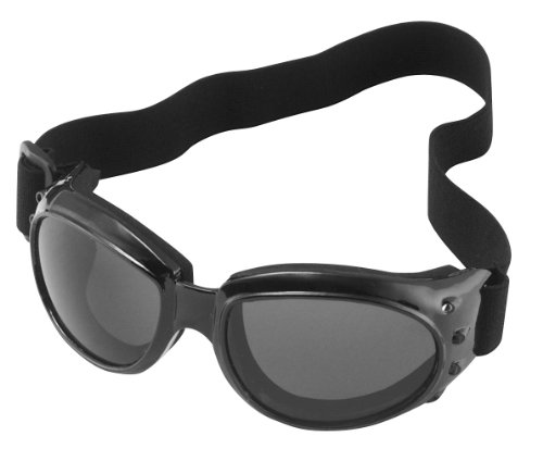 Safety Goggles & Glasses Eye Ride 90309