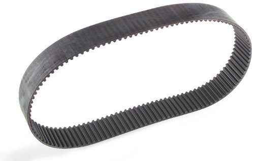Belts Rivera Primo 2024-0015