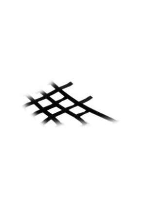 Nerf Bars Pro Armor H011030-NET