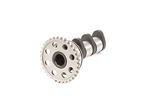 Camshafts Hot Cams 4023-1IN