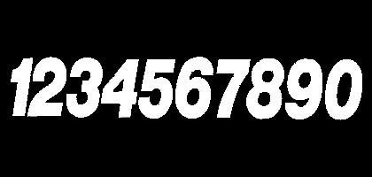 Decals Dirt Digits PD63W-4