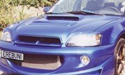 Hoods Erebuni ERBN_H-975HOOD