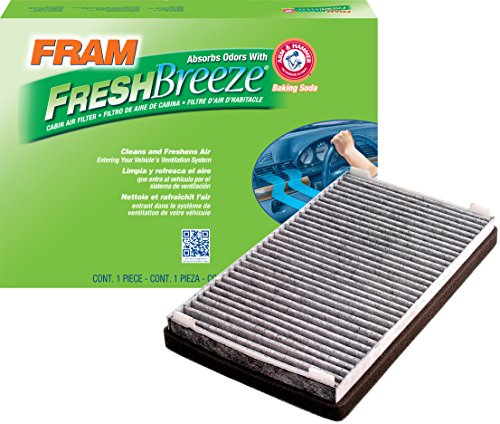 Air Filters Fram CF10137