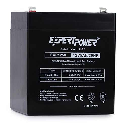 12V ExpertPower EXP1250