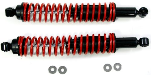 Shocks & Struts ACDelco 519-10