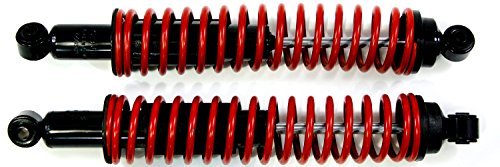 Shocks & Struts ACDelco 519-6