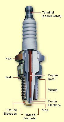 Spark Plugs Champion 562