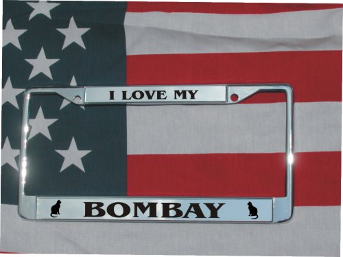 Frames HotSpotBuys BOMBAY FR
