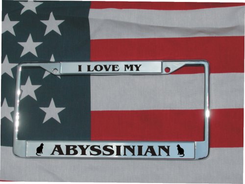 Frames HotSpotBuys ABYSSINIAN FR 1