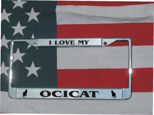 CHROME LASER ENGRAVED LICENSE PLATE FRAME OCICAT CAT W/FREE SCREW COVERS Frames HotSpotBuys OCICAT FR
