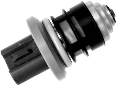 Fuel Injection ACDelco 217-2231