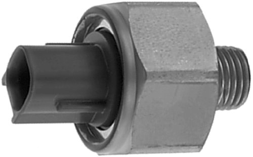 Detonation ACDelco 213-1787