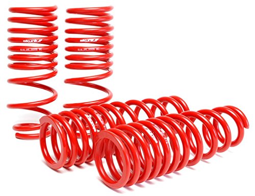 Coil Springs Skunk2 Racing 519-05-1480