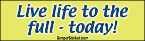 Decals BumperSnickerz PHI10053_M.pdf