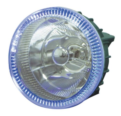 Bulbs Street Scene 95030022