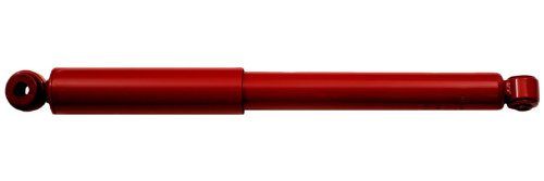 Shocks Gabriel 81891