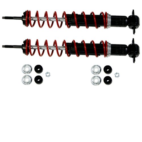 Shocks Gabriel 34051