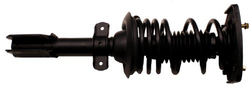 Struts Gabriel G56924