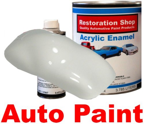 Body Paint Restoration Shop AE1110-KIT-M