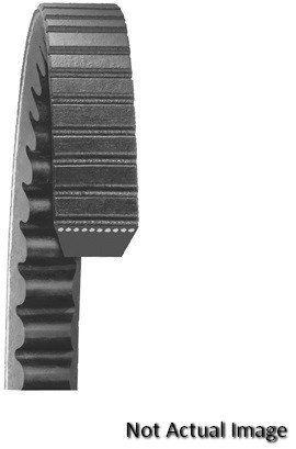 Serpentine Dayco 25405