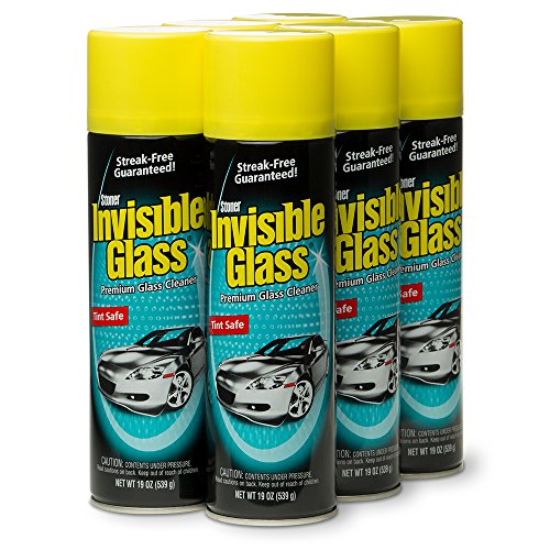 Glass Care Invisible Glass 91166-6PK