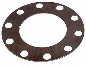Raybestos BA40203 PG PLUS Premium Brake Rotor Shim Rotors Raybestos BA40203
