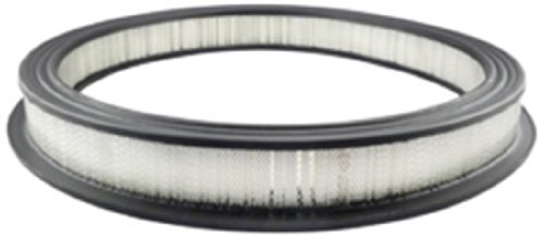 Air Filters Hastings Filters AF26