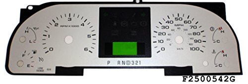 Dash Accents US Speedo F250 05 42