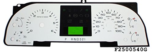 Dash Accents US Speedo F250 05 40